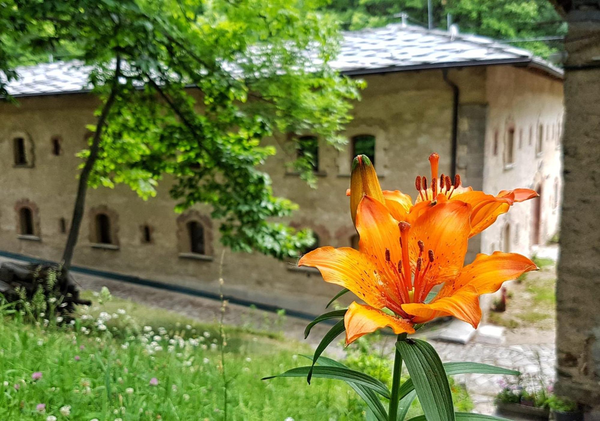 Forte Di Machaby Arnad Exterior foto